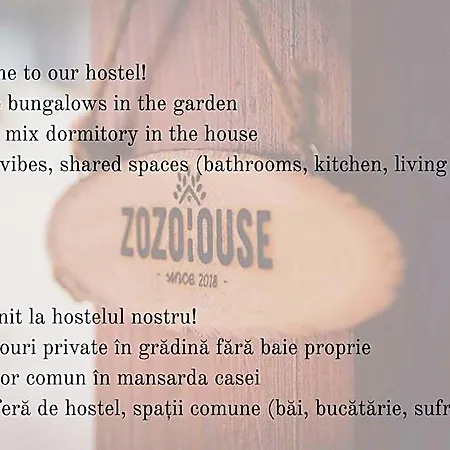 Zozo * Brașov