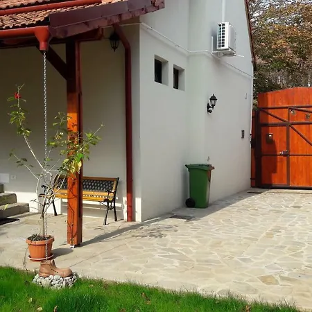 Hostel Zozo