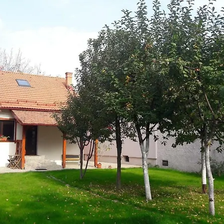Zozo Hostel Brašov
