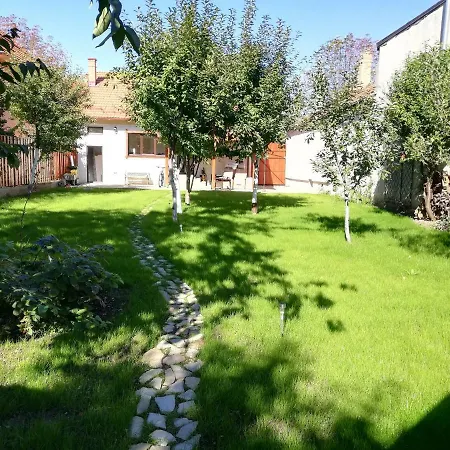 Zozo Brašov